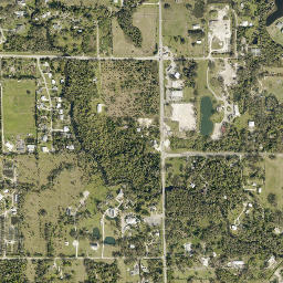 Buckingham map(satellite map)