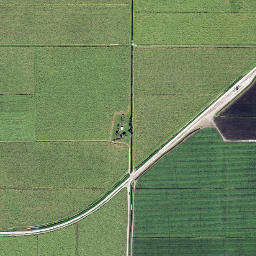 Dahlberg Florida High Resolution Satellite Map