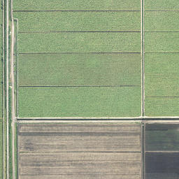 Vaughn Florida High Resolution Satellite Map