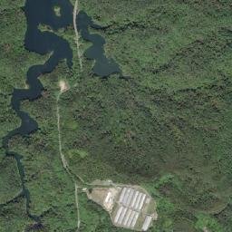 Nago Shi map(satellite map)