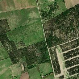 Bustamante map(satellite map)
