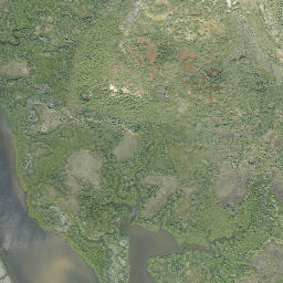 Satellite view of Shadow Wood Preserve