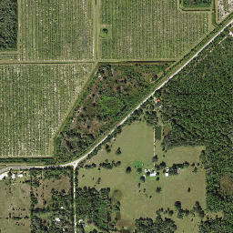 Corkscrew Florida High Resolution Satellite Map