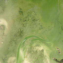 Satellite view of Pelican's Nest Golf Club