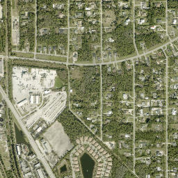 Council Florida High Resolution Satellite Map
