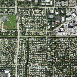 Floresta Florida High Resolution Satellite Map