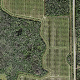 Harker Florida High Resolution Satellite Map