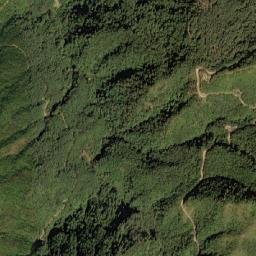 Tuensang District map(satellite map)