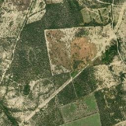 Camargo map(satellite map)