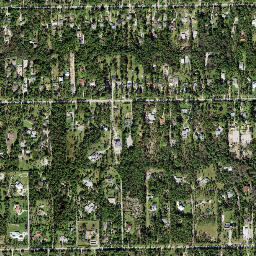 Vineyards Florida High Resolution Satellite Map