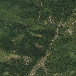 Wokha map(satellite map)