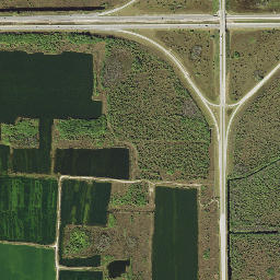 Miles City Florida High Resolution Satellite Map