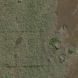 Collier County map(satellite map)