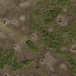 Turkey Foot Florida High Resolution Satellite Map