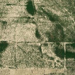 Los Aldamas map(satellite map)