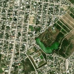 Nuevo Progreso map(satellite map)