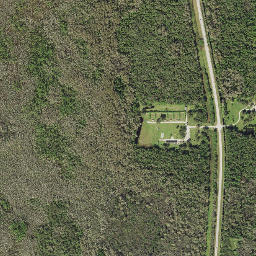 Deep Lake Florida High Resolution Satellite Map