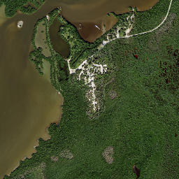 Shell Island Florida High Resolution Satellite Map