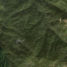 Zunheboto map(satellite map)