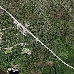 Royal Palm Hammock Florida High Resolution Satellite Map