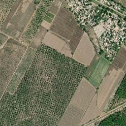 San Isidro map(satellite map)