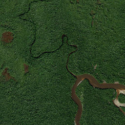 Old Grove Florida High Resolution Satellite Map