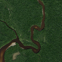 Grocery Place Florida High Resolution Satellite Map