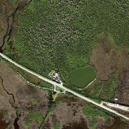 Weavers Station Florida High Resolution Satellite Map