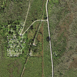 Lee Cypress Florida High Resolution Satellite Map