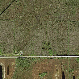 Ochopee Florida High Resolution Satellite Map