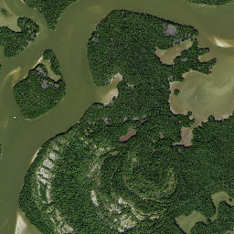 Dismal Key Florida High Resolution Satellite Map