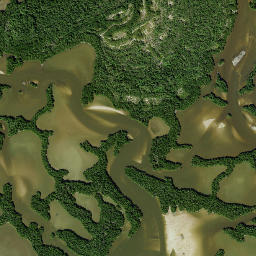 Fakahatchee Florida High Resolution Satellite Map