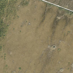 Trail City Florida High Resolution Satellite Map