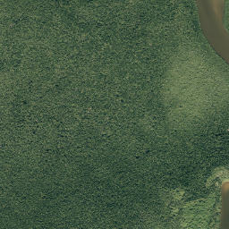 Chatham Florida High Resolution Satellite Map