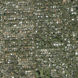 Coconut Grove map(satellite map)
