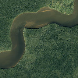 The Watson Place Florida High Resolution Satellite Map