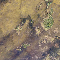Monroe County map(satellite map)