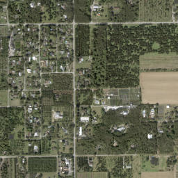 Silver Palm Florida High Resolution Satellite Map