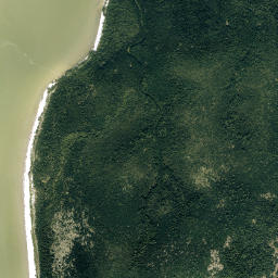 Leon Hamilton Place Florida High Resolution Satellite Map