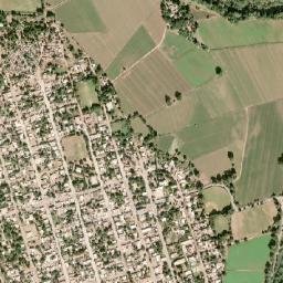 Tamazula map(satellite map)
