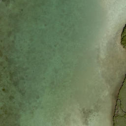 Cutter Bank Florida High Resolution Satellite Map