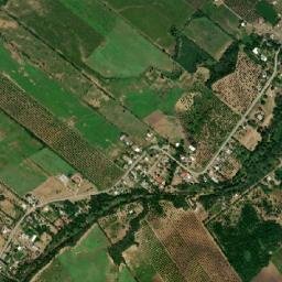 El Nogalito map(satellite map)
