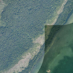 Dynamite Docks Florida High Resolution Satellite Map