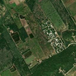 El Bosque map(satellite map)