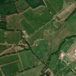 Montemorelos map(satellite map)