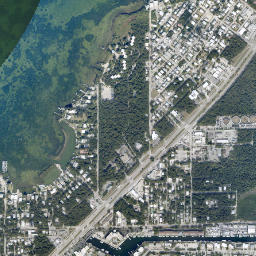 Newport Florida High Resolution Satellite Map