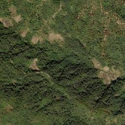 Ukhrul map(satellite map)