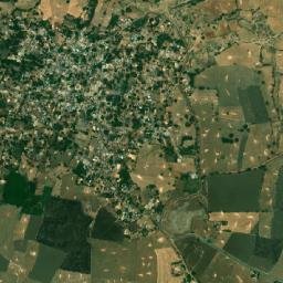 Bijrauni map(satellite map)
