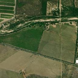 Cinco Señores map(satellite map)