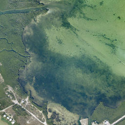 Perky Florida High Resolution Satellite Map